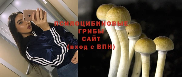 эйфоретик Мегион