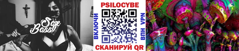 OMG сайт  Чегем  Галлюциногенные грибы Psilocybe 